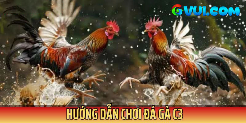 Bet thủ làm theo hướng dẫn để tham gia giải trí
