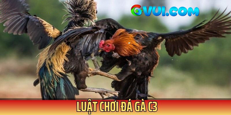 Luật chơi trực tiếp đá gà C3 được quy định rõ
