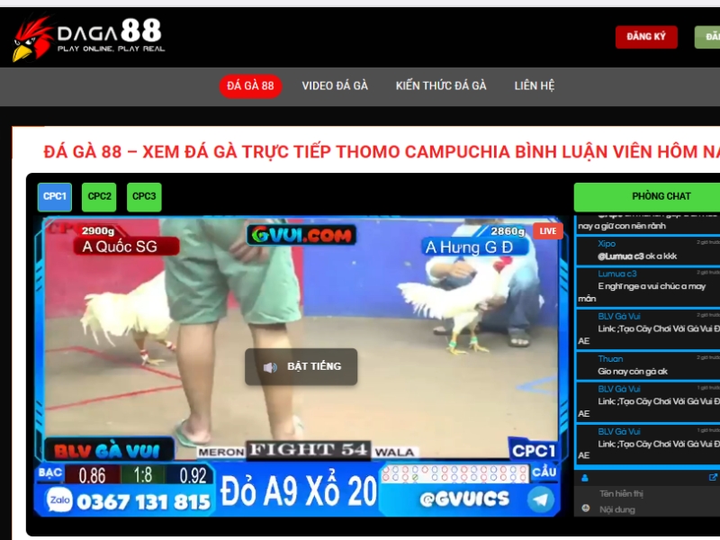Xem video phát sóng đá gà trực tiếp tại Đá Gà 88 chất lượng nhất hiện nay